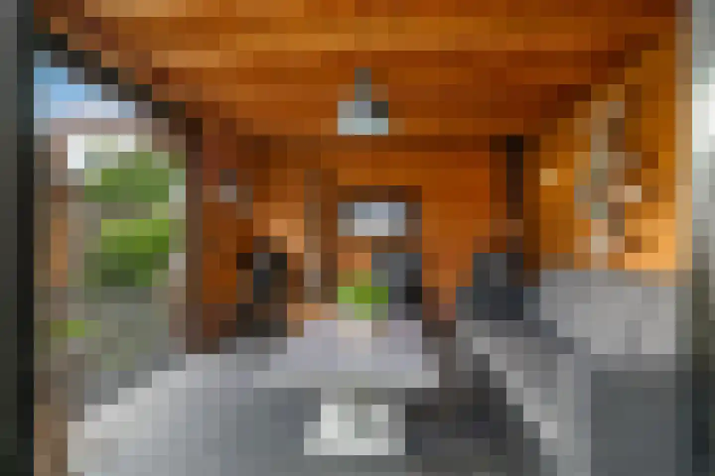 Klaverakker 12 Heteren thumbnail 63