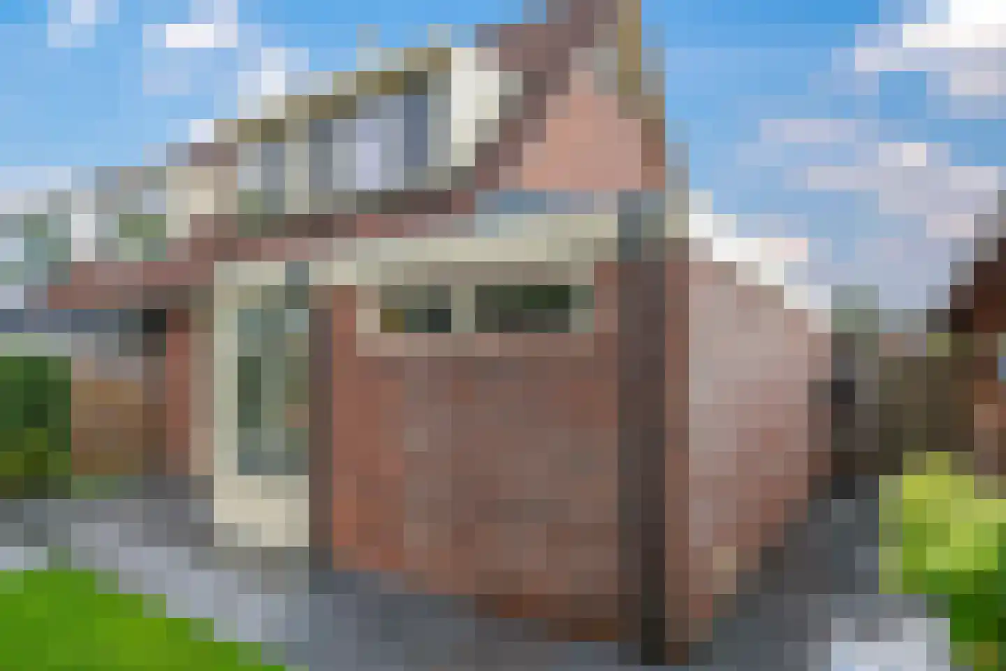 Klaverakker 12 Heteren thumbnail 72