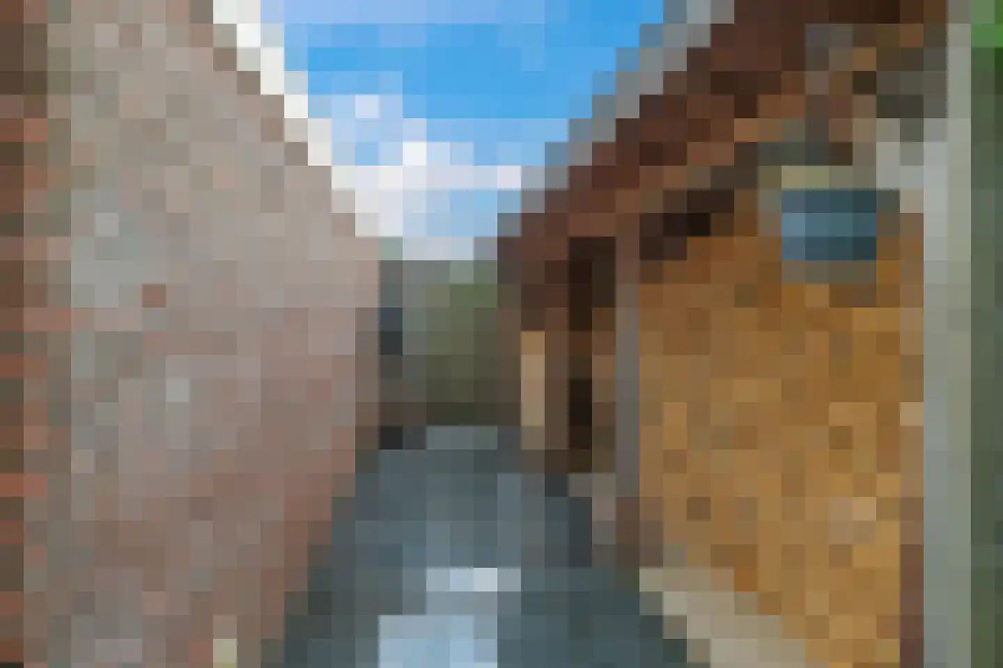 Klaverakker 12 Heteren thumbnail 73