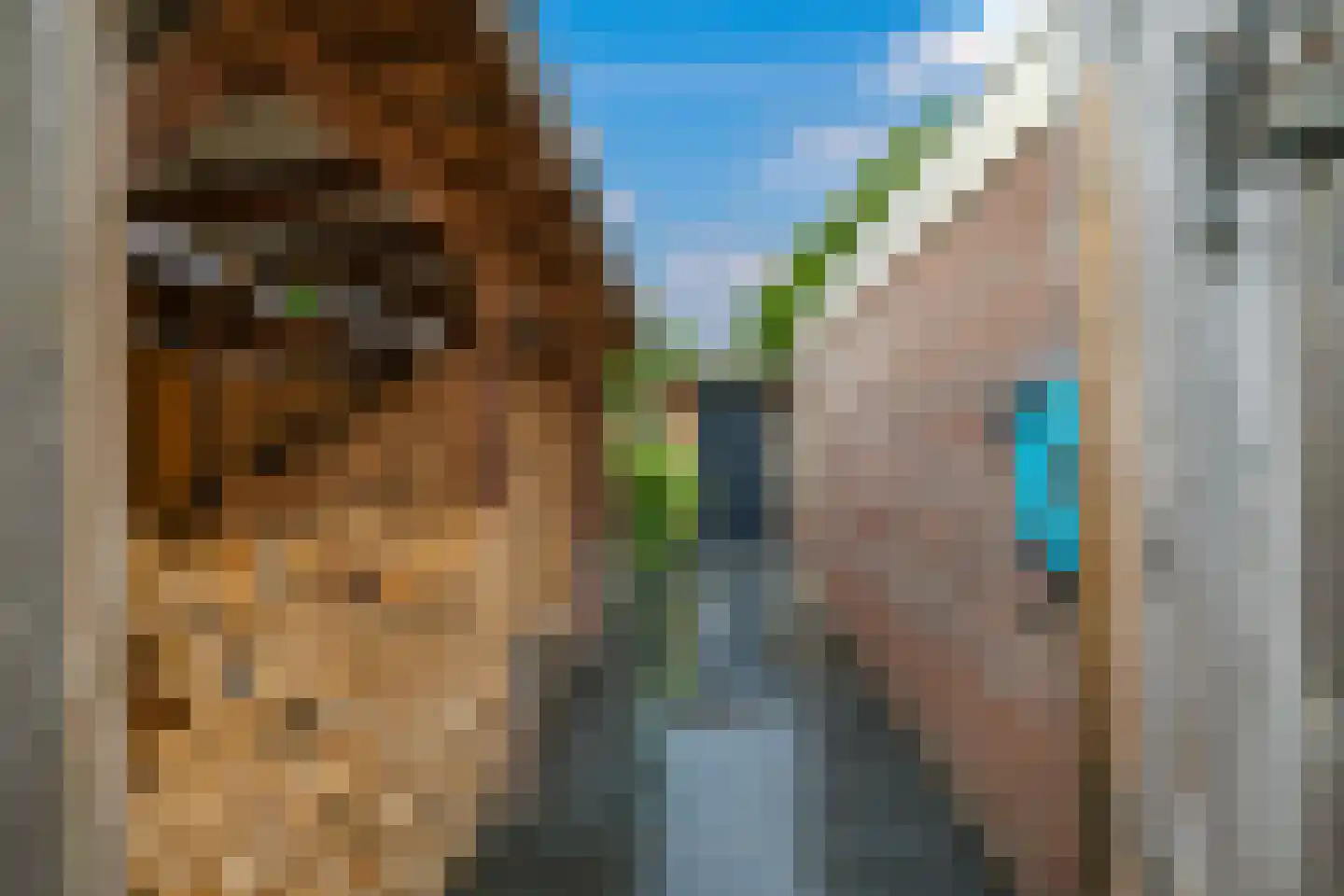 Klaverakker 12 Heteren thumbnail 74