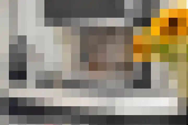 Klaverakker 31 Arnemuiden thumbnail 12