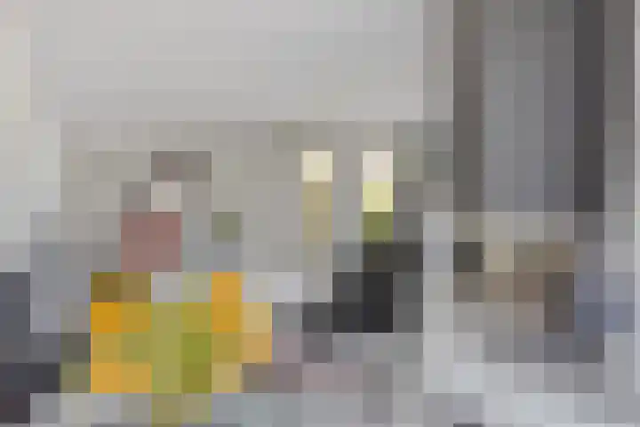 Klaverakker 31 Arnemuiden thumbnail 13