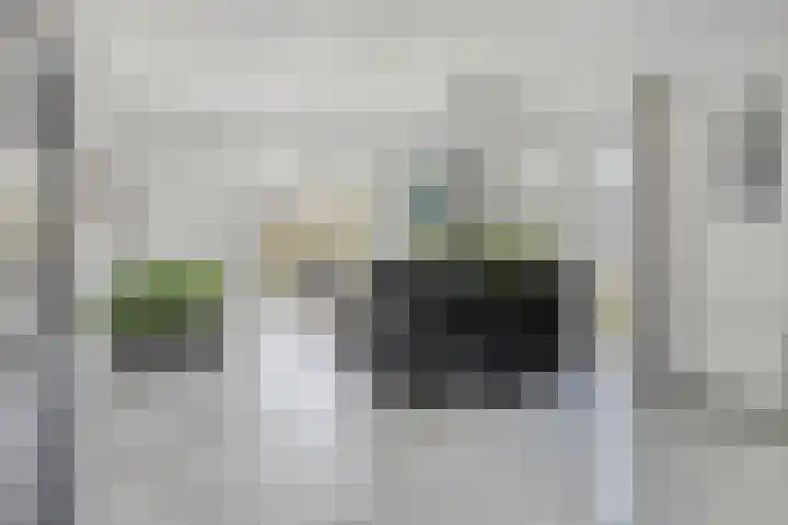 Klaverakker 31 Arnemuiden thumbnail 15