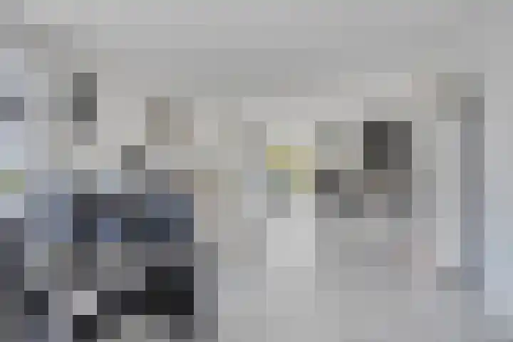 Klaverakker 31 Arnemuiden thumbnail 16
