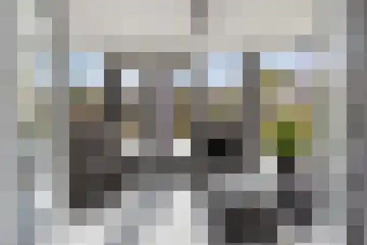 Klaverakker 31 Arnemuiden thumbnail 18