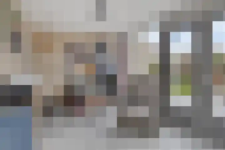 Klaverakker 31 Arnemuiden thumbnail 19