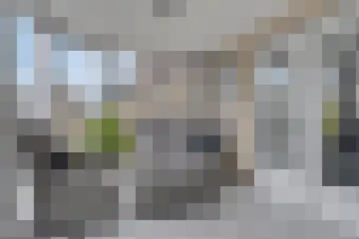 Klaverakker 31 Arnemuiden thumbnail 20