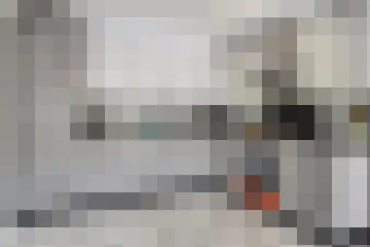 Klaverakker 31 Arnemuiden thumbnail 23