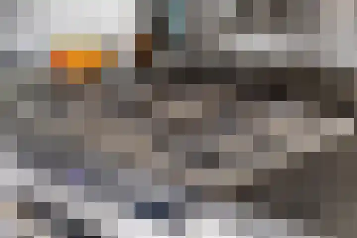 Klaverakker 31 Arnemuiden thumbnail 24