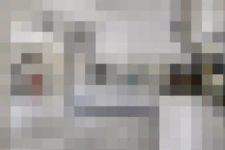 Klaverakker 31 Arnemuiden thumbnail 25