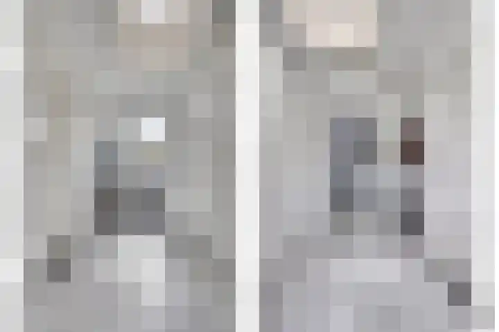 Klaverakker 31 Arnemuiden thumbnail 27