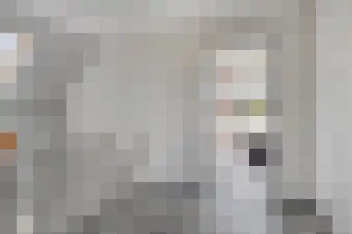 Klaverakker 31 Arnemuiden thumbnail 29