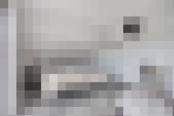 Klaverakker 31 Arnemuiden thumbnail 32