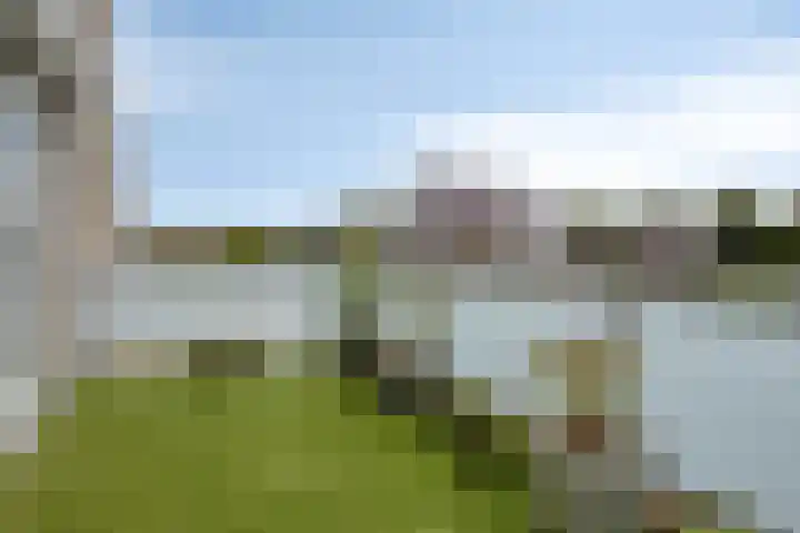 Klaverakker 31 Arnemuiden thumbnail 35
