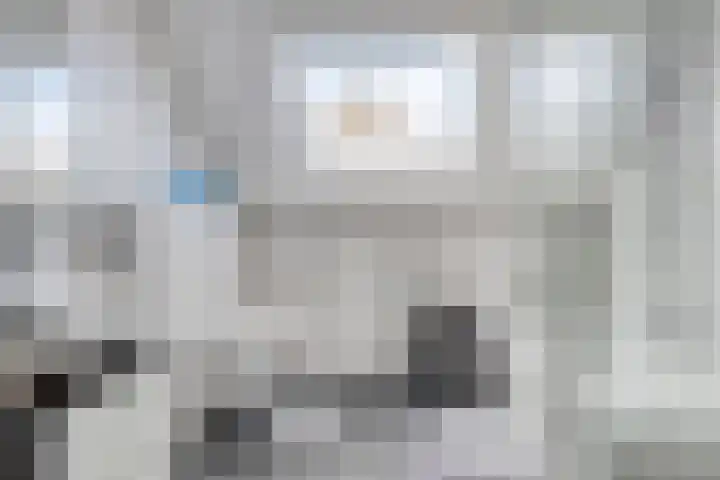Klaverakker 31 Arnemuiden thumbnail 36
