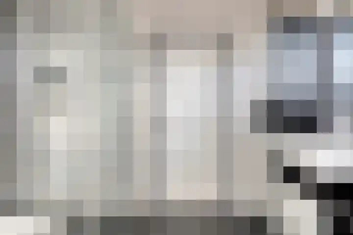 Klaverakker 31 Arnemuiden thumbnail 37