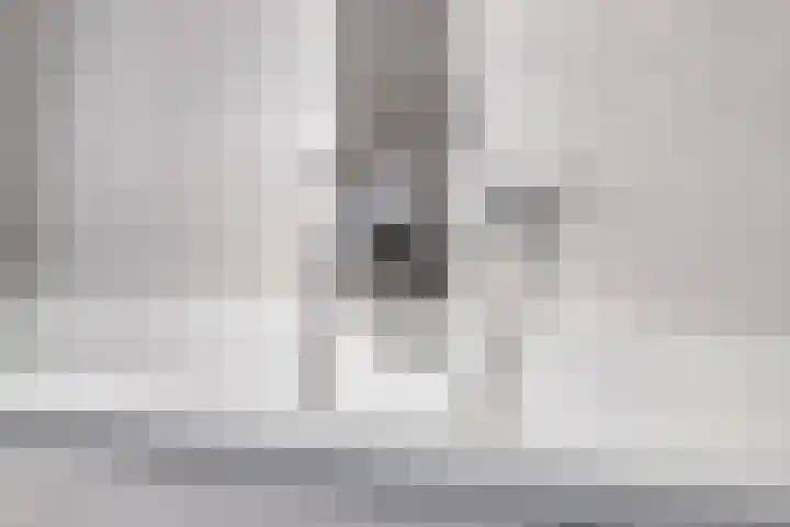 Klaverakker 31 Arnemuiden thumbnail 38