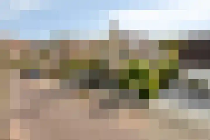 Klaverakker 31 Arnemuiden thumbnail 4