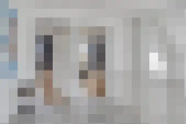 Klaverakker 31 Arnemuiden thumbnail 40