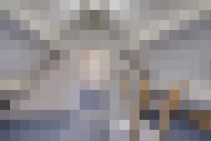 Klaverakker 31 Arnemuiden thumbnail 48