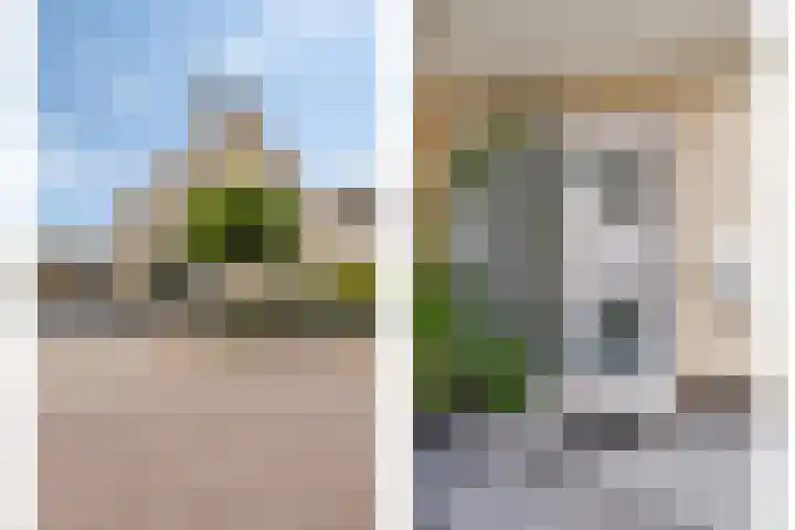 Klaverakker 31 Arnemuiden thumbnail 5