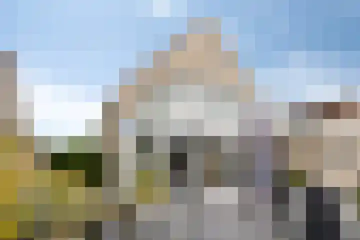 Klaverakker 31 Arnemuiden thumbnail 51