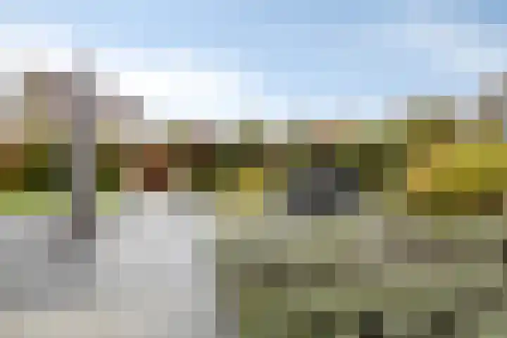 Klaverakker 31 Arnemuiden thumbnail 52