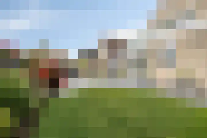 Klaverakker 31 Arnemuiden thumbnail 53