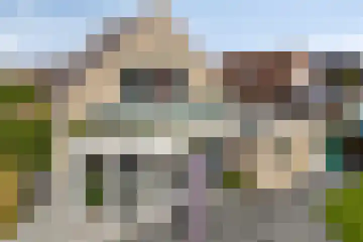 Klaverakker 31 Arnemuiden thumbnail 54