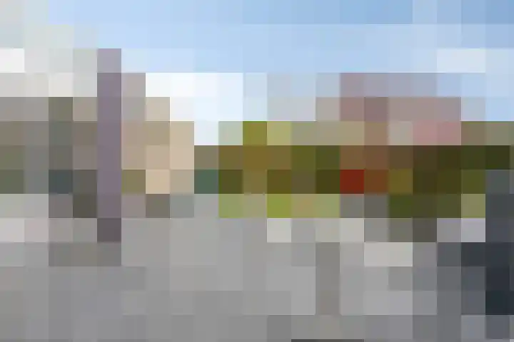 Klaverakker 31 Arnemuiden thumbnail 55