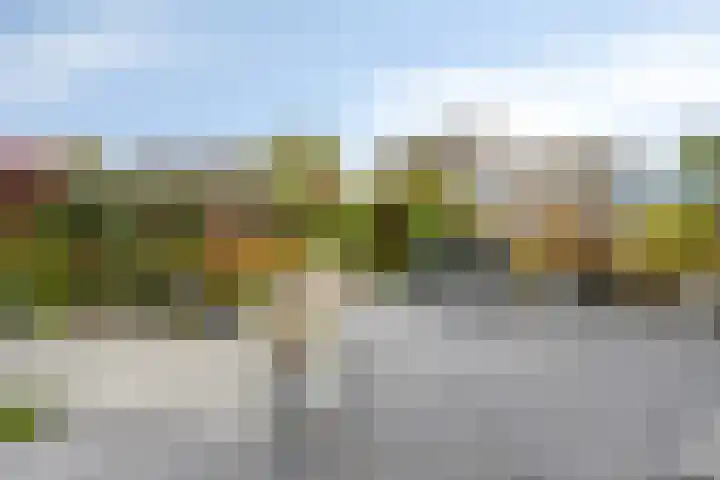 Klaverakker 31 Arnemuiden thumbnail 56