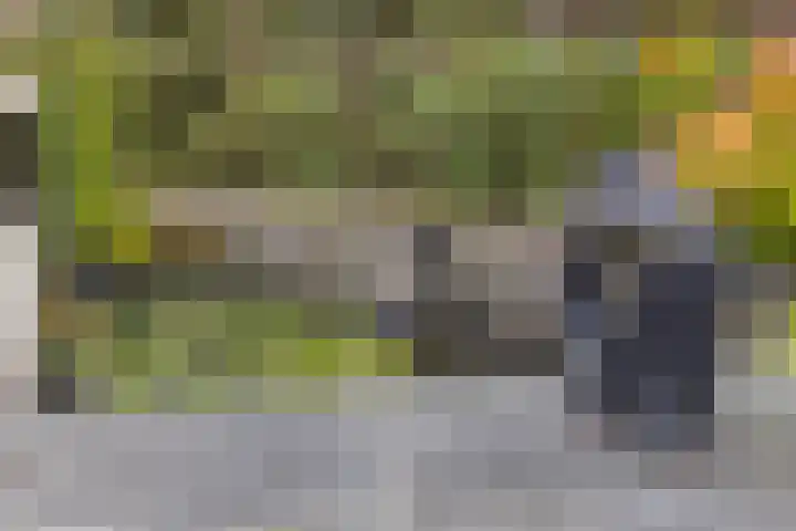 Klaverakker 31 Arnemuiden thumbnail 57