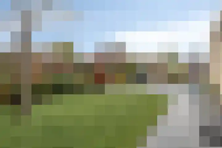 Klaverakker 31 Arnemuiden thumbnail 59