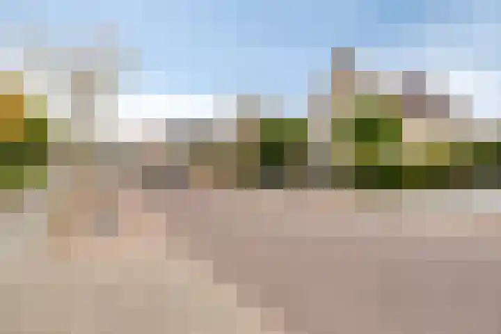 Klaverakker 31 Arnemuiden thumbnail 61