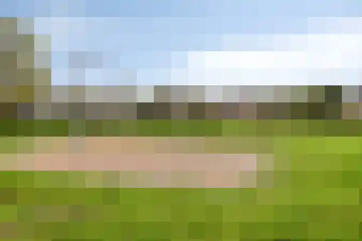 Klaverakker 31 Arnemuiden thumbnail 62