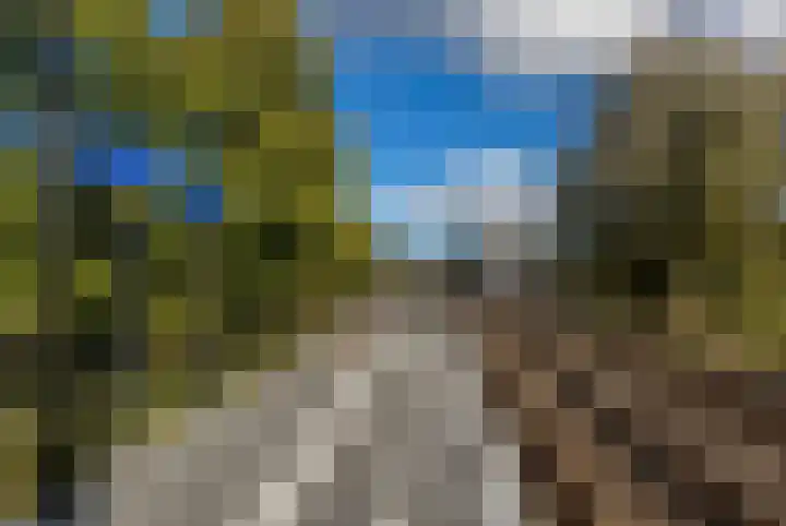 Klaverakker 31 Arnemuiden thumbnail 64
