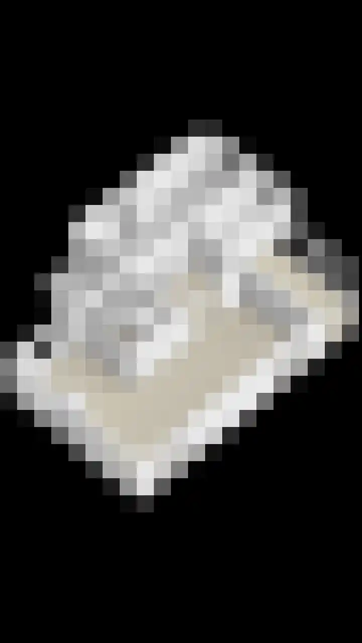 Klaverakker 31 Arnemuiden thumbnail 66