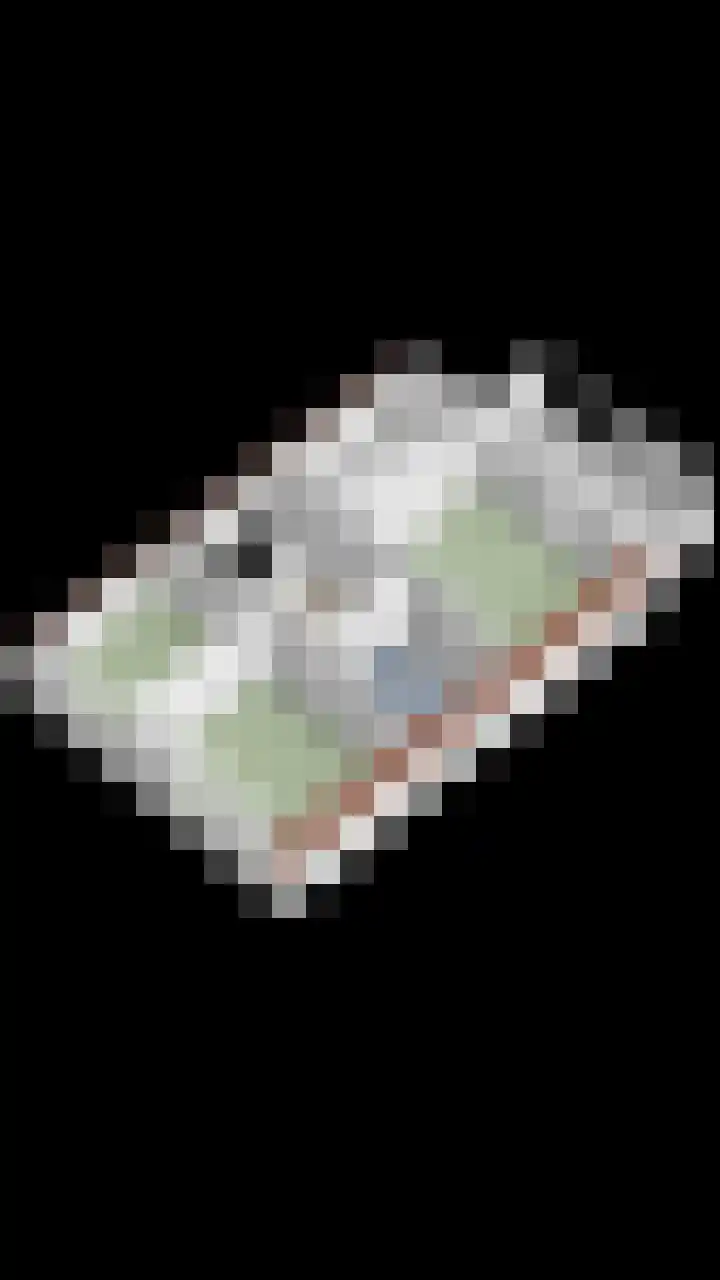 Klaverakker 31 Arnemuiden thumbnail 68