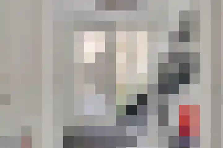 Klaverakker 31 Arnemuiden thumbnail 7