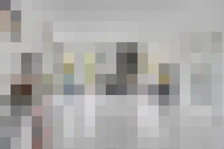 Klaverakker 31 Arnemuiden thumbnail 9