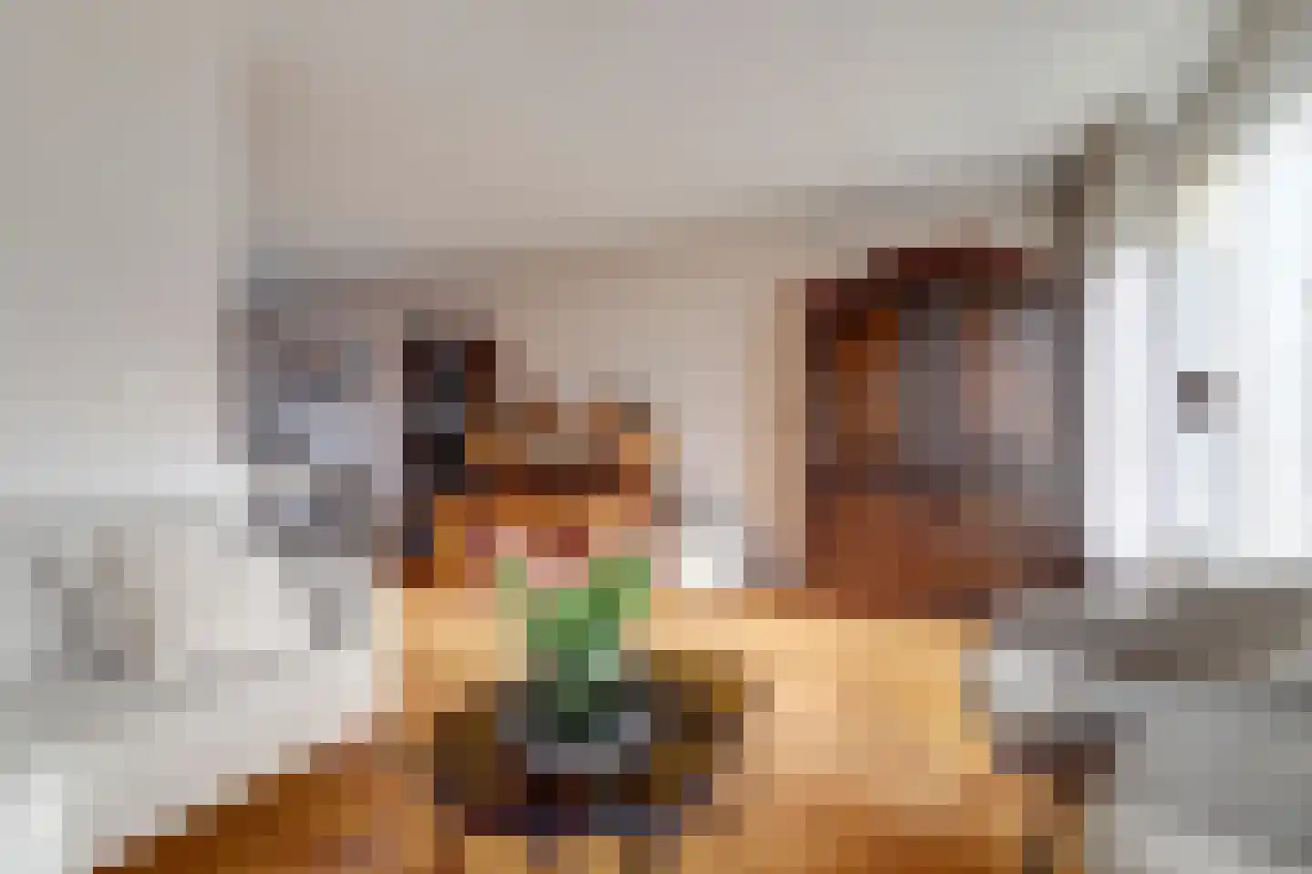 Klaverakker 34 Arnemuiden thumbnail 10