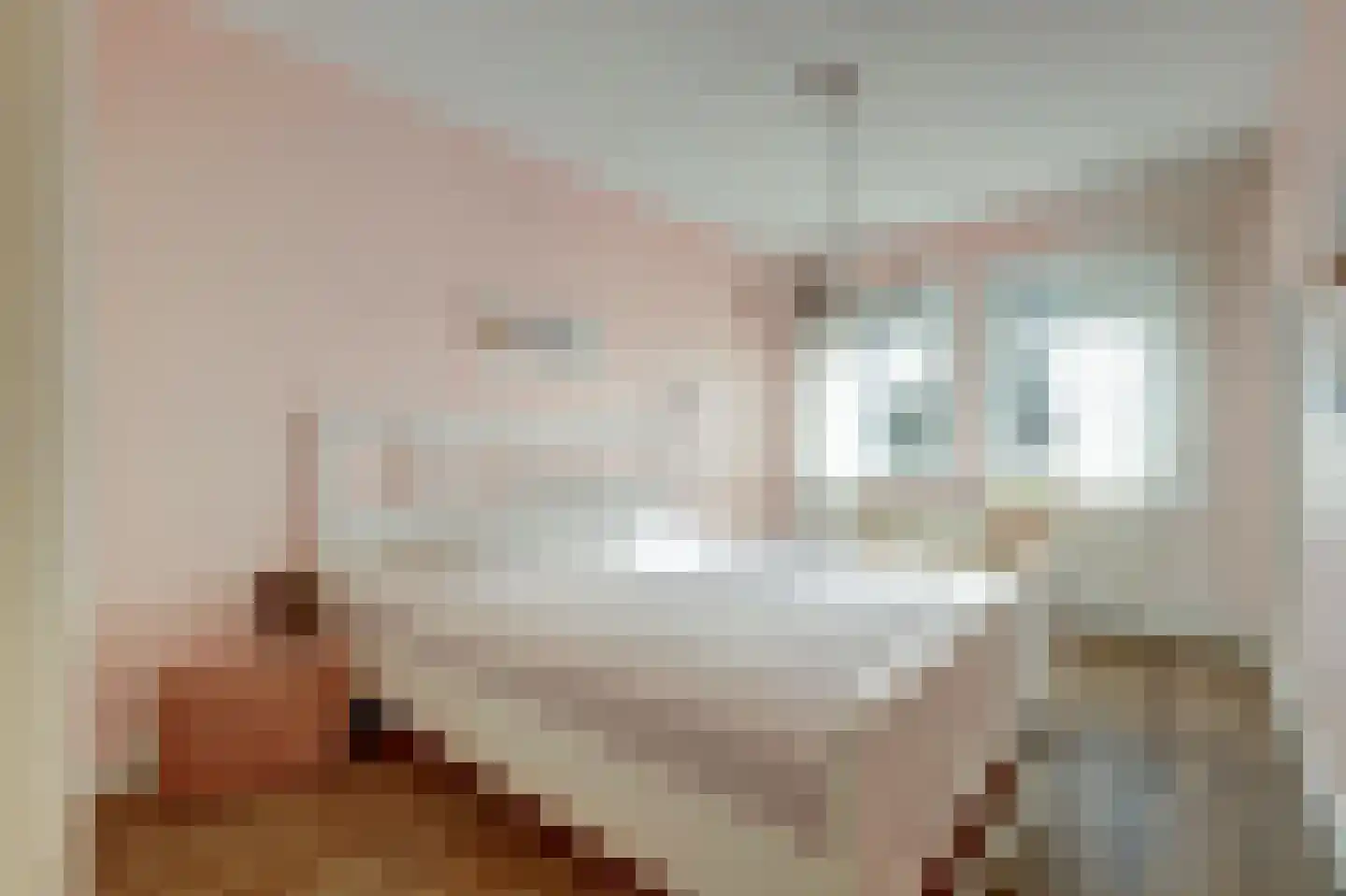 Klaverakker 34 Arnemuiden thumbnail 18