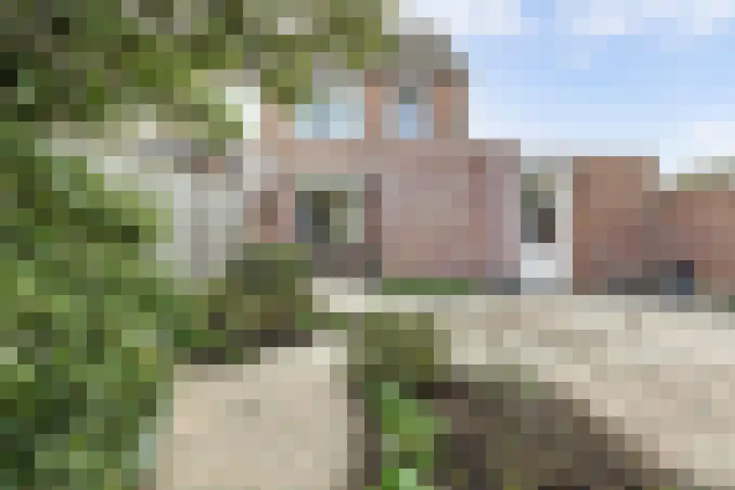 Klaverakker 34 Arnemuiden thumbnail 31