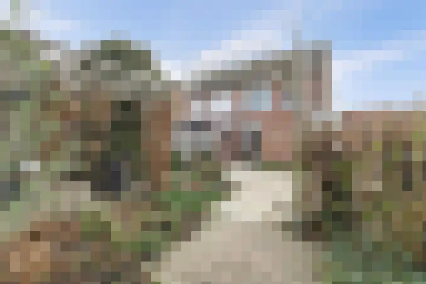 Klaverakker 34 Arnemuiden thumbnail 36