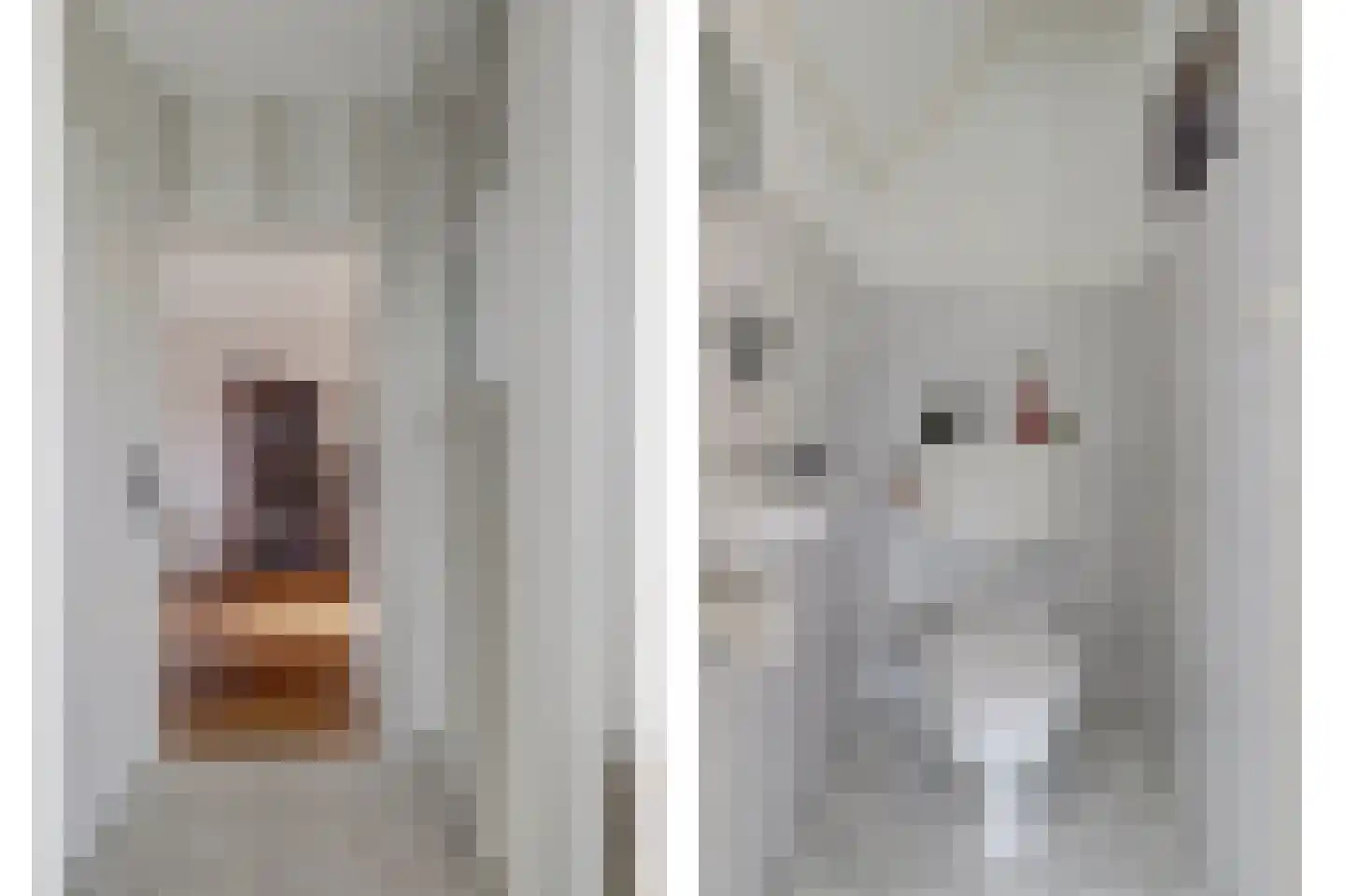 Klaverakker 34 Arnemuiden thumbnail 7