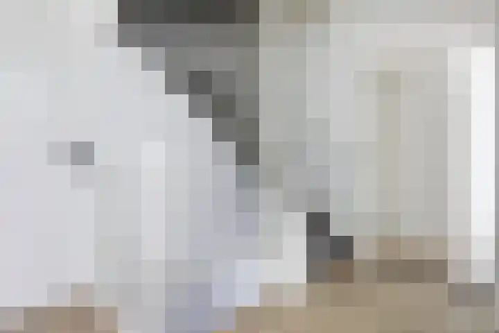 Klaverbeemd 33 Oosterhout thumbnail 16
