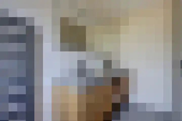 Klaverbeemd 33 Oosterhout thumbnail 25