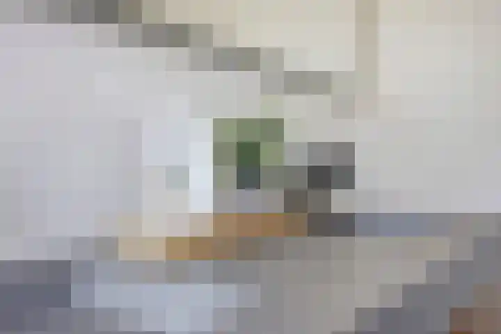 Klaverbeemd 33 Oosterhout thumbnail 28