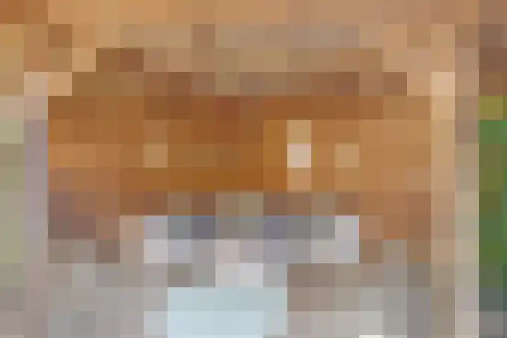 Klaverbeemd 33 Oosterhout thumbnail 29
