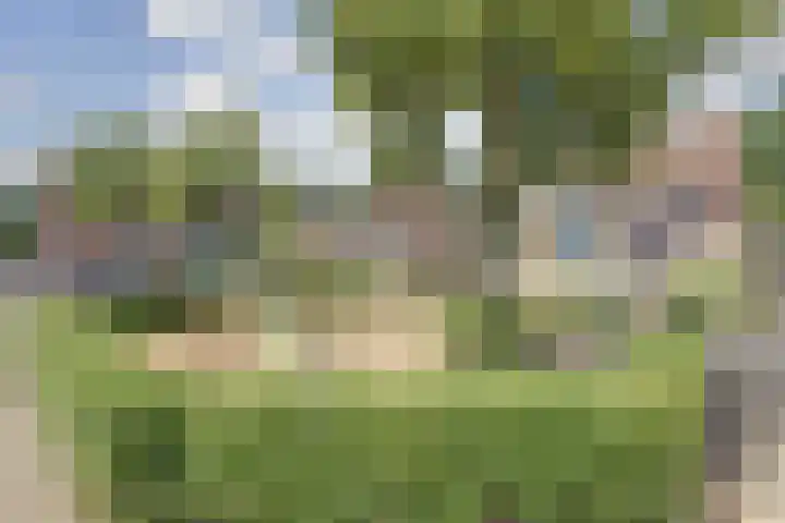Klaverbeemd 33 Oosterhout thumbnail 34